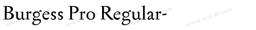 Burgess Pro Regular字体转换